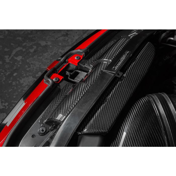 Eventuri Carbon Ducts air duct for BMW E9X M3